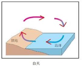 海陸風(fēng) 海陸風(fēng)