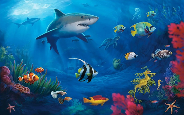 海洋生態環境 海洋生態環境